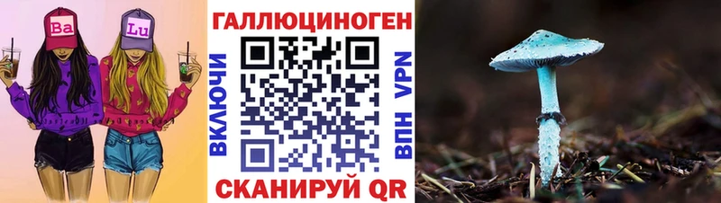 Псилоцибиновые грибы Cubensis что такое наркотик площадка состав Оренбург